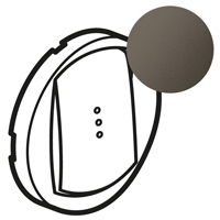 Legrand Celiane2 Накл. выкл.с выд.вр. Граф